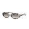 Ray-Ban RB 2223 144832 Güneş Gözlüğü