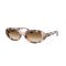 Ray-Ban RB 2223 144951 Güneş Gözlüğü