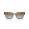 Ray-Ban RB 2228M F7046E Güneş Gözlüğü