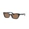 Ray-Ban RB 2299 901/73 Güneş Gözlüğü