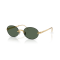 Ray-Ban RB 3929 001/71 Güneş Gözlüğü