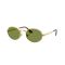 Ray-Ban RB 3931 001/4E Güneş Gözlüğü