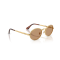Ray-Ban RB 3931 001/53 Güneş Gözlüğü