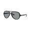 Ray-Ban RB 4125 601/R5 Güneş Gözlüğü