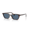 Ray-Ban RB 4456 135980 Güneş Gözlüğü