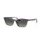 Ray-Ban RB 4474D 667511 Güneş Gözlüğü