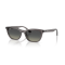 Ray-Ban RB 4474D 667511 Güneş Gözlüğü