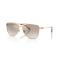 Ralph Lauren RL 7096 94876E Güneş Gözlüğü