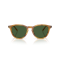 Ralph Lauren RL 8241U 618571 Güneş Gözlüğü