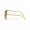 Ralph Lauren RL 8242U 50053R Güneş Gözlüğü