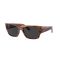 Ray-Ban RB 0947S 954/48 Güneş Gözlüğü