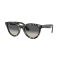 Ray-Ban RB 2241 133371 Güneş Gözlüğü, Ekartman: 54