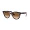 Ray-Ban RB 2241 133451 Güneş Gözlüğü, Ekartman: 54