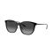 Ray-Ban RB 4333D 601/8G Güneş Gözlüğü