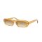 Ray-Ban RB 4436D 668213 Güneş Gözlüğü