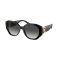 Ralph Lauren RL 8220 50018G Güneş Gözlüğü