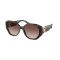Ralph Lauren RL 8220 500313 Güneş Gözlüğü
