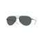 Oliver Peoples OV 1002S 5062P2 Güneş Gözlüğü