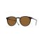 Oliver Peoples OV 5183S 166653 Güneş Gözlüğü