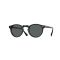 Oliver Peoples OV 5217S 1031P2 Güneş Gözlüğü, Polarize: Evet, Ekartman: 47