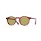 Oliver Peoples OV 5217S 17644C Güneş Gözlüğü, Ekartman: 50