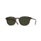 Oliver Peoples OV 5219S 1724P1 Güneş Gözlüğü