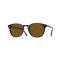 Oliver Peoples OV 5414SU 172283 Güneş Gözlüğü