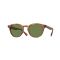 Oliver Peoples OV 5454SU 14834E Güneş Gözlüğü