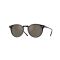 Oliver Peoples OV 5529SU 177239 Güneş Gözlüğü, Ekartman: 48