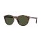 Persol PO 3152S 901531 Güneş Gözlüğü, Ekartman: 52