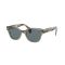 Ray-Ban RB 0880S 66353R Güneş Gözlüğü