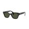 Ray-Ban RB 0880S 901/31 Güneş Gözlüğü