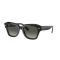 Ray-Ban RB 2186 901/71 Güneş Gözlüğü