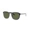 Ray-Ban RB 2203 919/58 Güneş Gözlüğü, Polarize: Evet, Ekartman: 52