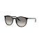 Ray-Ban RB 2204 901/32 Güneş Gözlüğü, Ekartman: 51