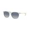 Ray-Ban RB 4171 67434L Güneş Gözlüğü