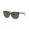 Ray-Ban RB 4378 601/71 Güneş Gözlüğü