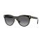 Versace VE 2198 1002T3 Güneş Gözlüğü