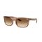 Ray-Ban RB 2389 140351 Güneş Gözlüğü, Ekartman: 60
