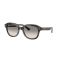 Ray-Ban RB 4398 140432 Güneş Gözlüğü, Ekartman: 51