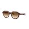Ray-Ban RB 4399 141451 Güneş Gözlüğü, Ekartman: 53