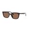 Ray-Ban RB 4439D 623173 Güneş Gözlüğü