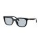 Ray-Ban RB 4439D 901/72 Güneş Gözlüğü