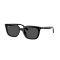 Ray-Ban RB 4439D 901/87 Güneş Gözlüğü