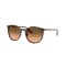 Ray-Ban RB 2204 14293B Güneş Gözlüğü, Ekartman: 54
