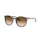 Ray-Ban RB 2204 143151 Güneş Gözlüğü, Ekartman: 51