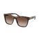 Ralph Lauren RL 8212 500313 Güneş Gözlüğü