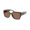Ralph Lauren RL 8230U 624173 Güneş Gözlüğü