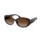 Ralph Lauren RL 8232U 624113 Güneş Gözlüğü