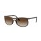 Ray-Ban RB 4452 612413 Güneş Gözlüğü